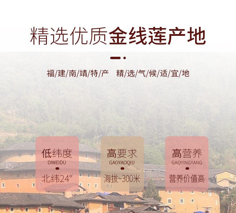 開花<a href=http://m.51rn.cn/ target='_blank'>金線蓮</a>干品